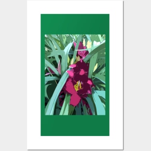 Rare daylily in ruby red, graphic design Posters and Art